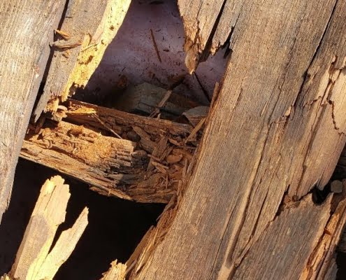 Damaged Wood Sheathing Rafters & Beams damaged wood beams and bearings 20220115 03 e1674769500364