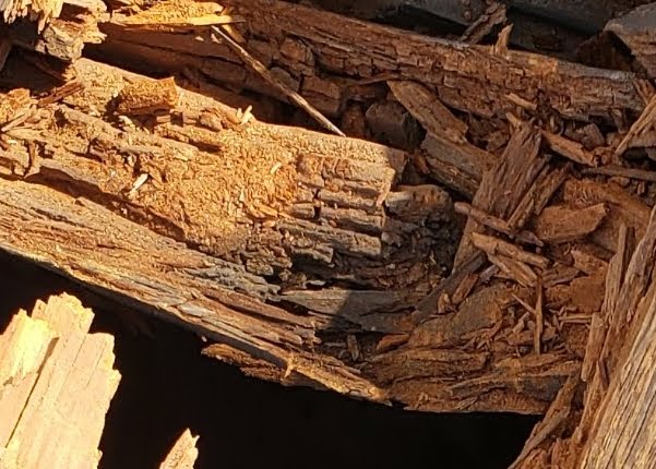 December 2022 Damaged Wood Bearings & Beams damaged wood beams and bearings 20220115 06 e1674769587737